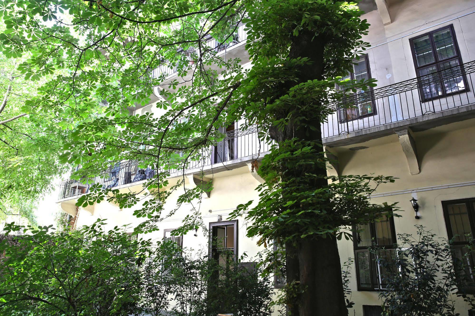 Amber Terrace Downtown 3*